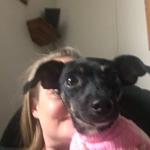Meet your Posher, Candice